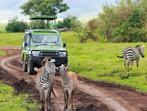 Jeep Safari